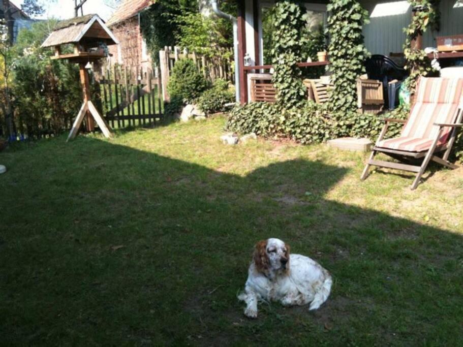 2 Bedroom Beautyful Vacation Home / Ferienhaus Brunsberg Buchholz in der Nordheide Ngoại thất bức ảnh